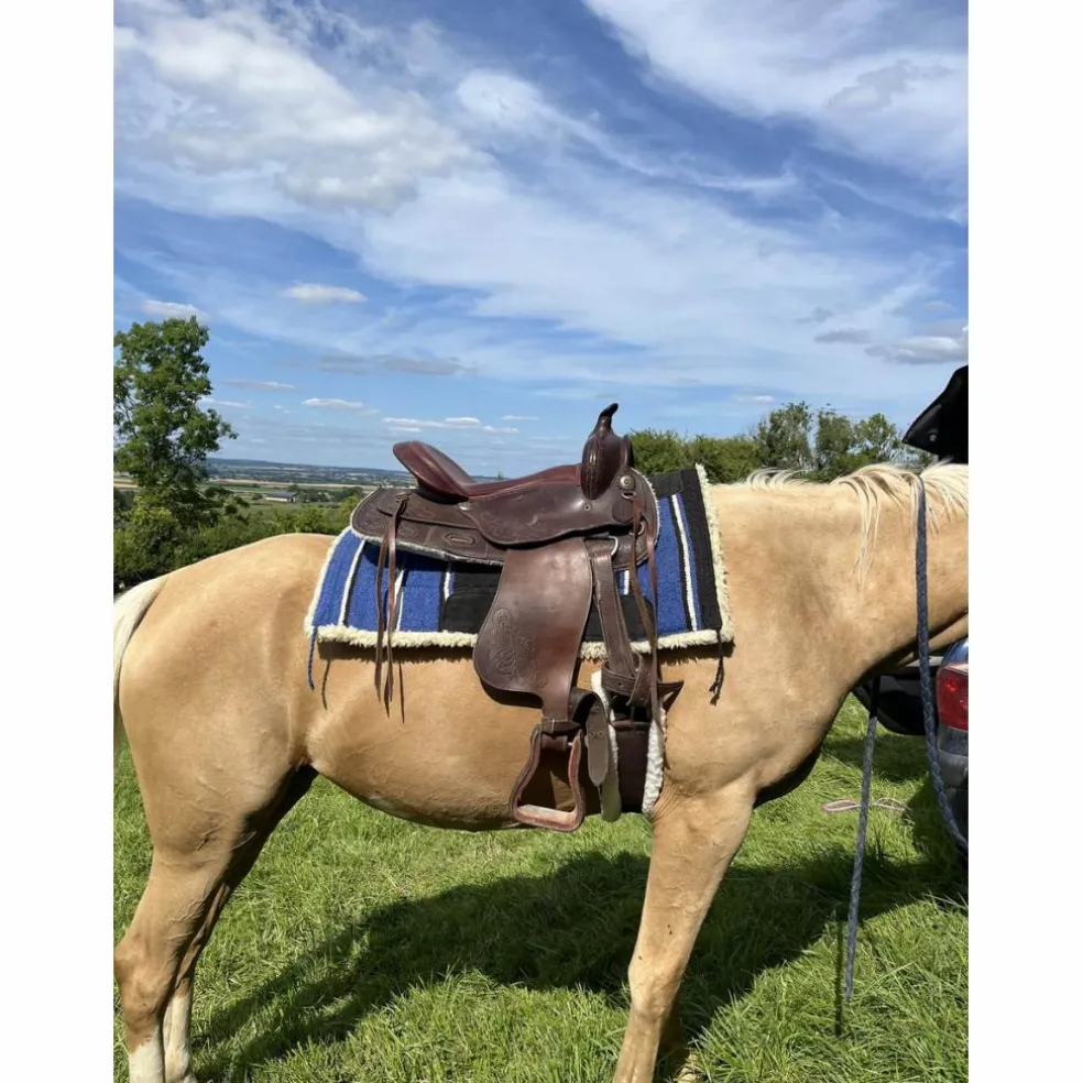 Selle western