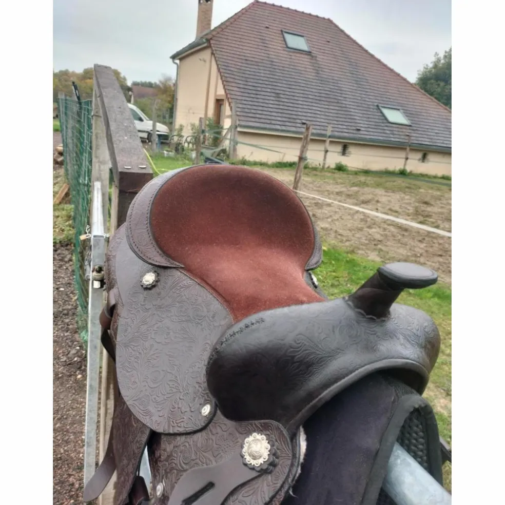 Selle western