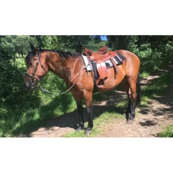 Selle western