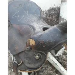 Selle western