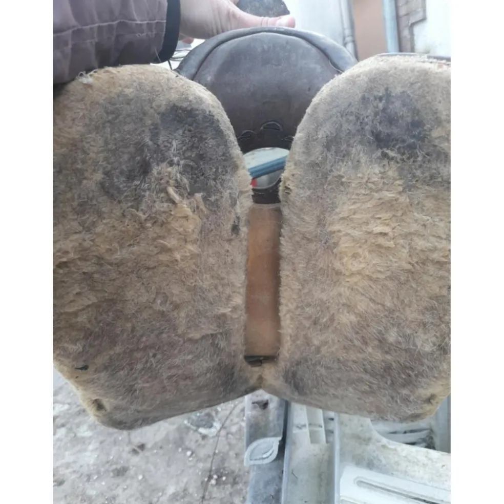 Selle western