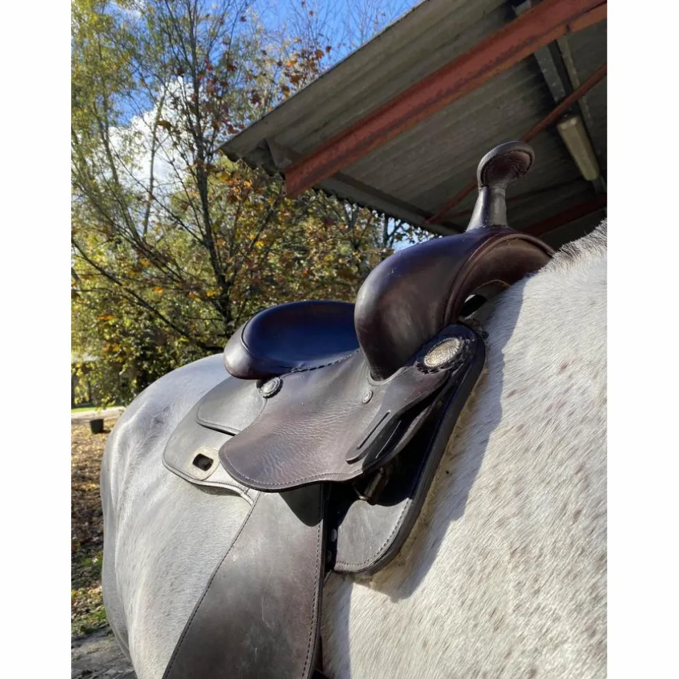 selle western Colorado springs