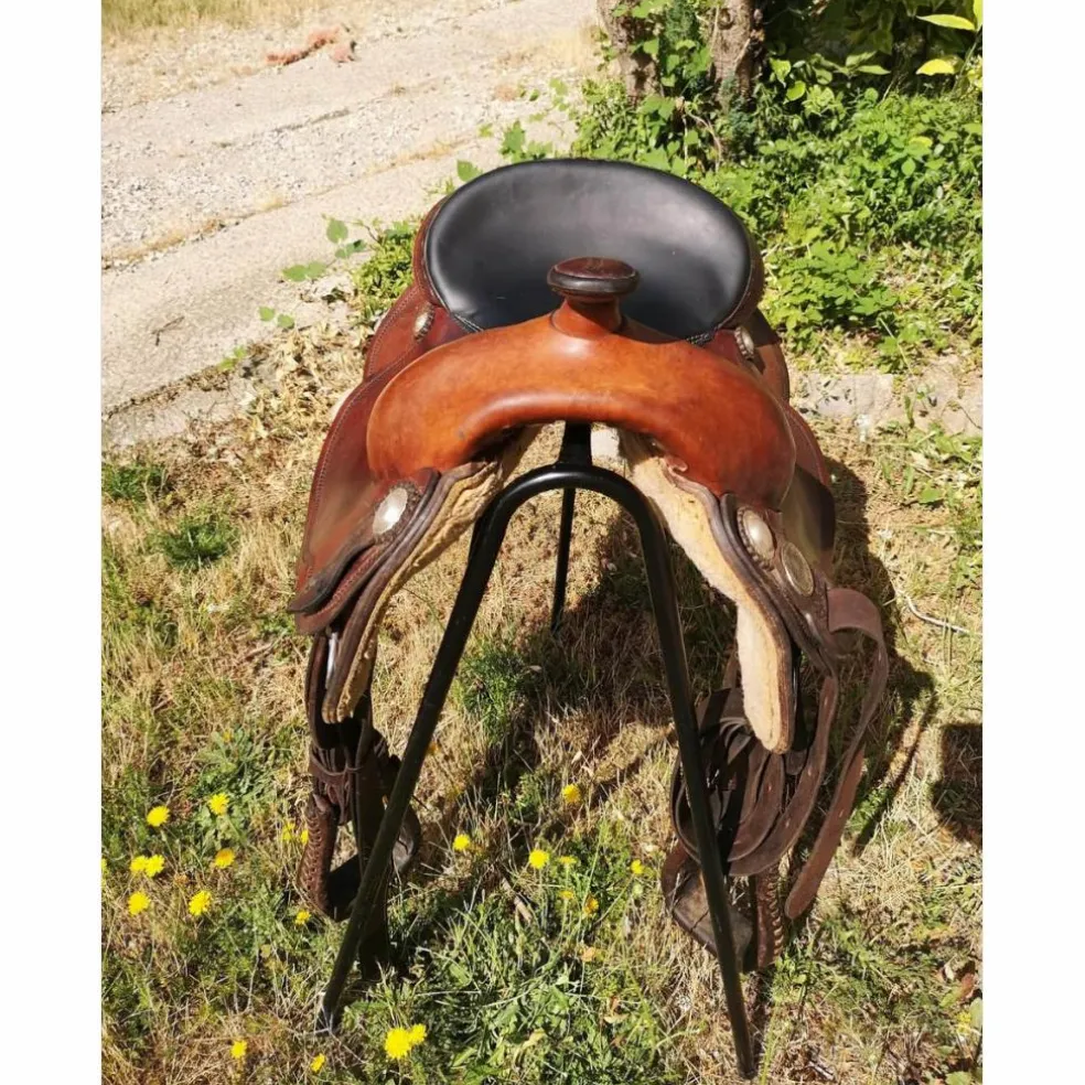 selle western continental round skier