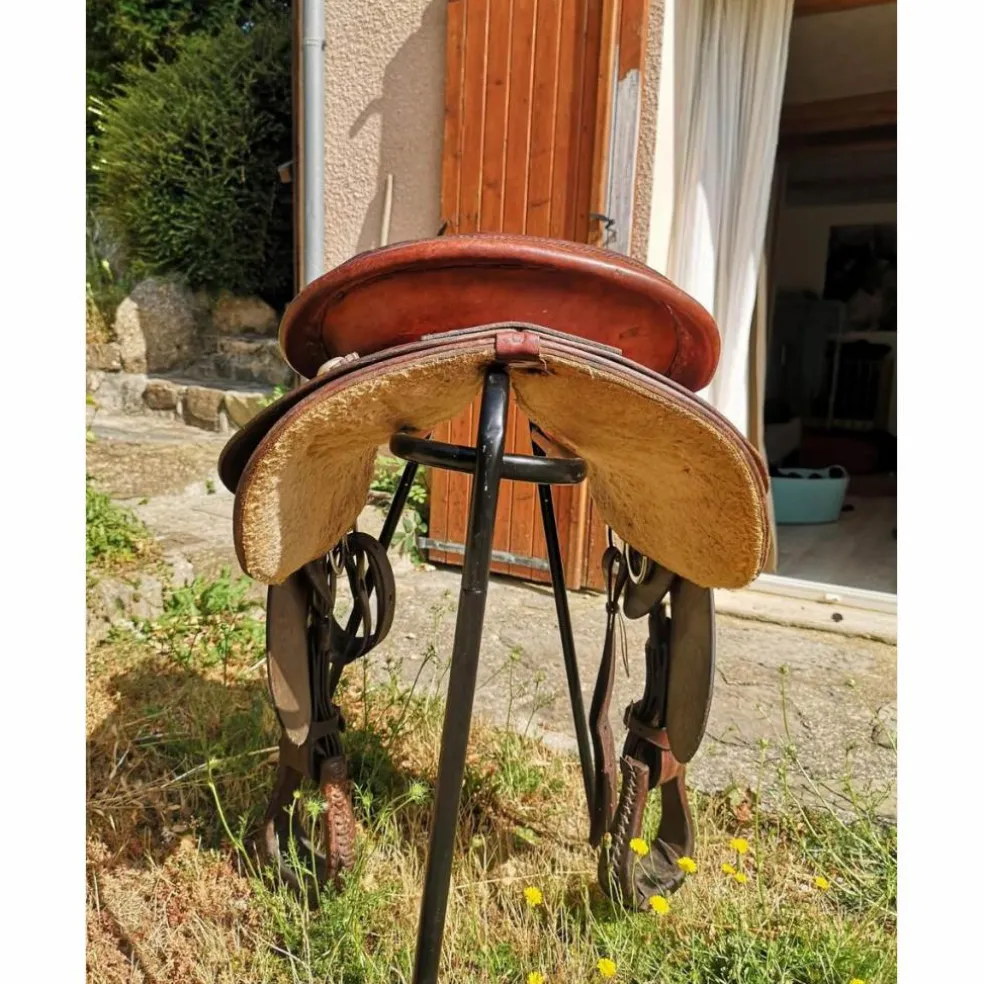 selle western continental round skier