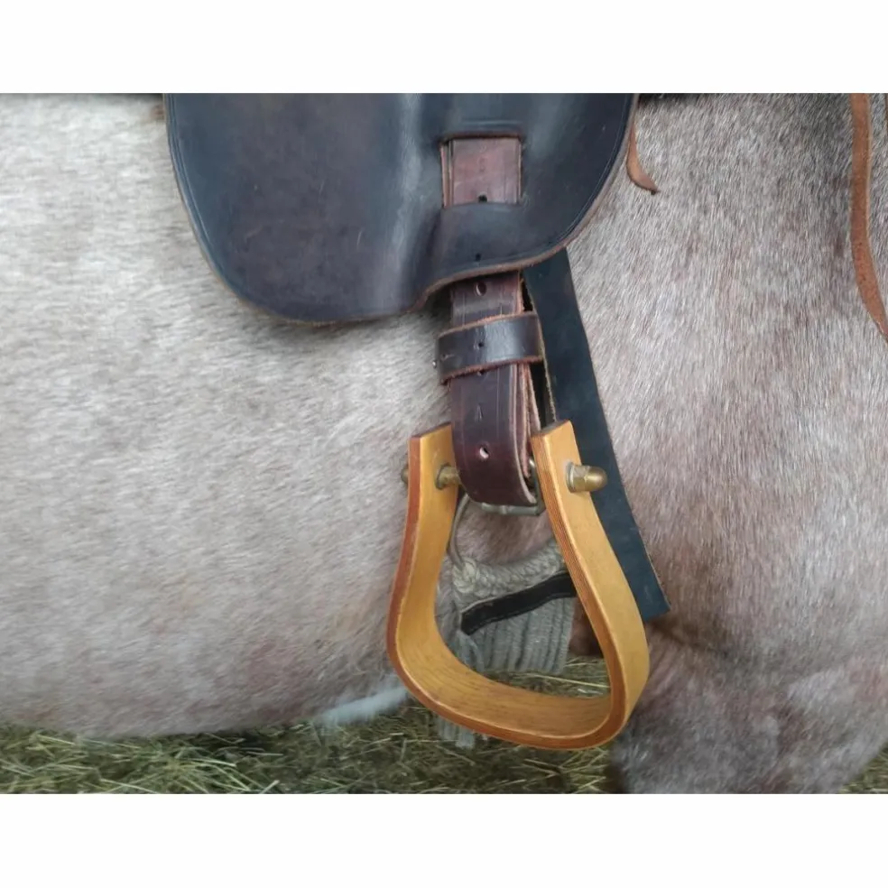 Selle western de randonnée et sacoches