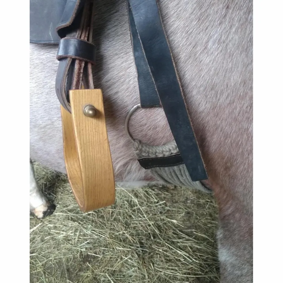 Selle western de randonnée et sacoches