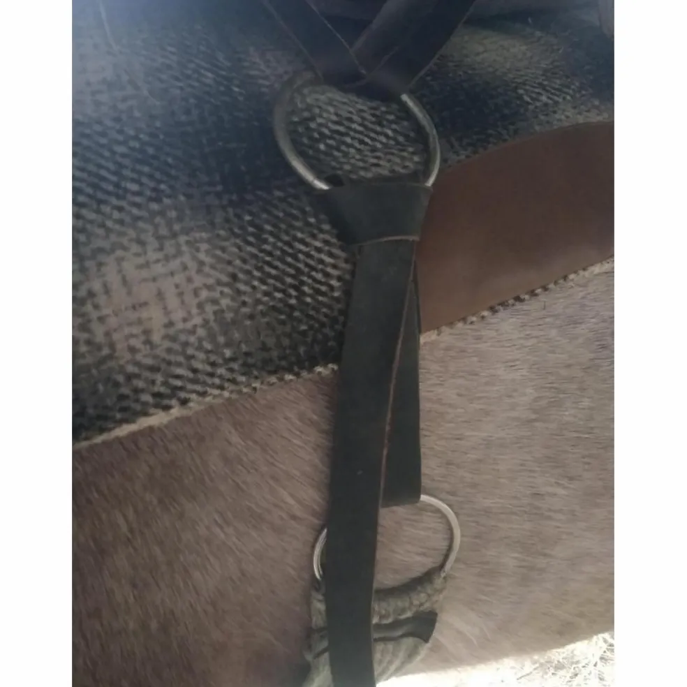 Selle western de randonnée et sacoches
