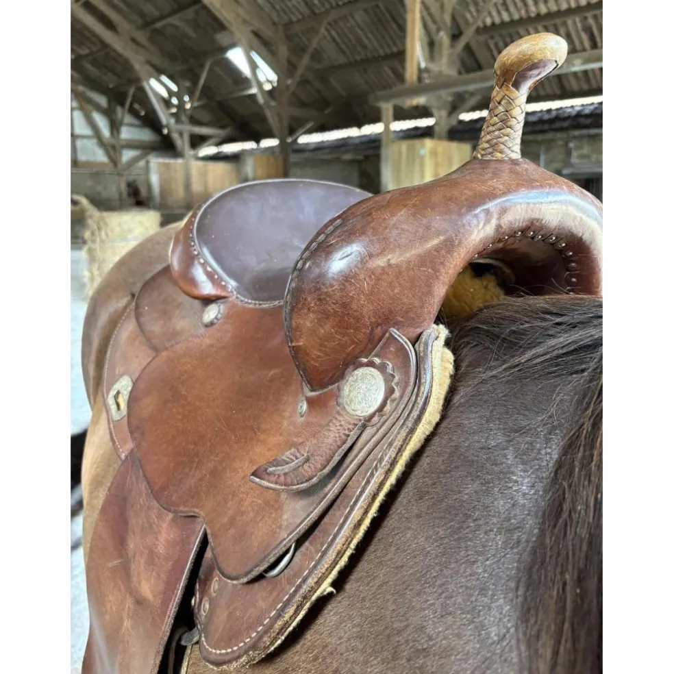 Selle Western Diamond C
