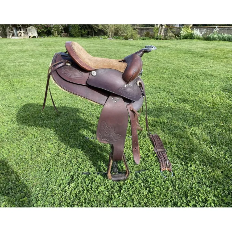 Selle western Geologic
