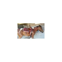 selle western Montana saddlery