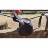 Selle Wintec 500 Hart 17.5"
