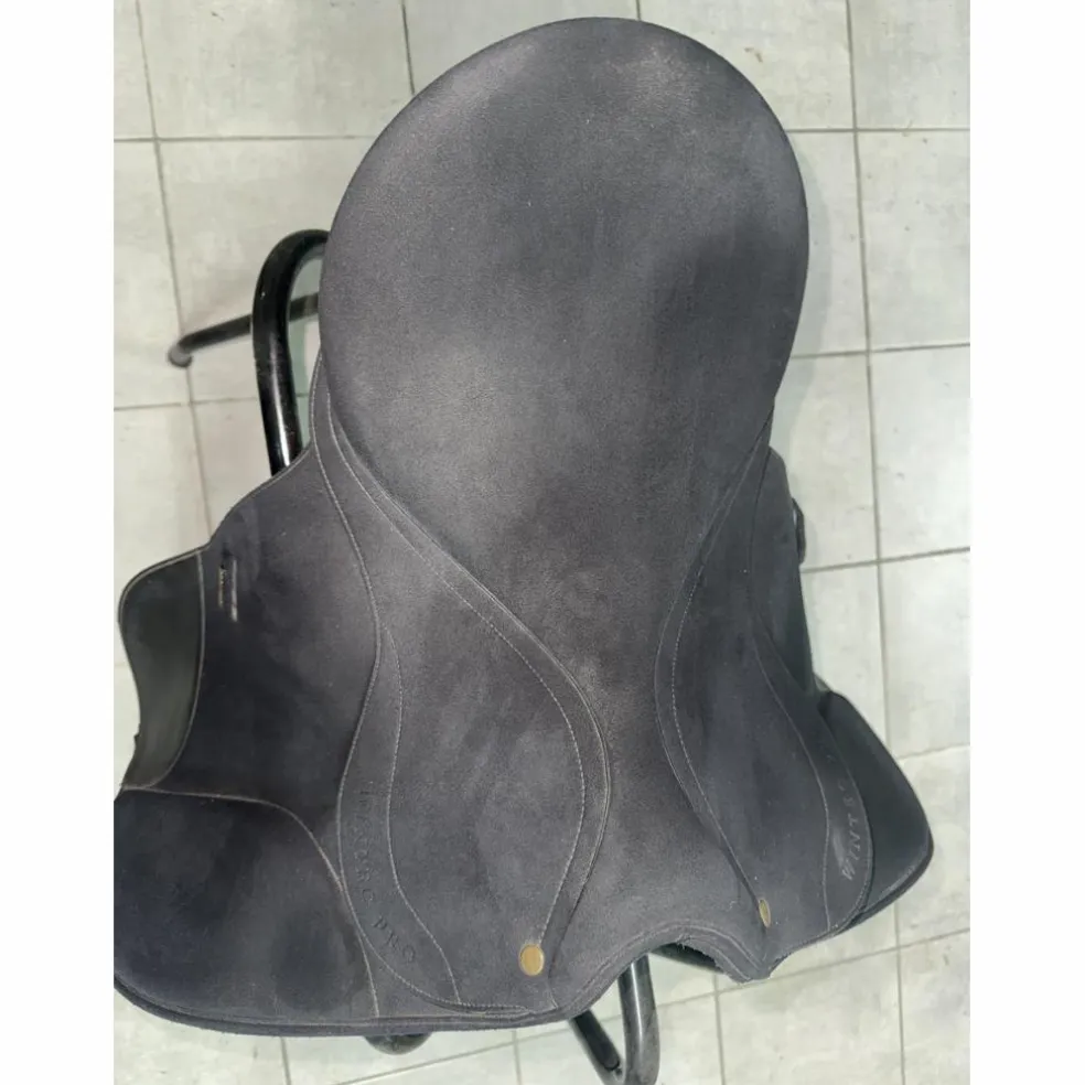 Selle Wintec Pro Isabell Werth