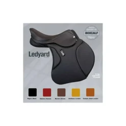 Selle Zaldi Ledyard