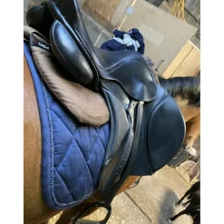 Selle Zaldi Ledyard