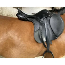 Selle Zaldi Ledyard