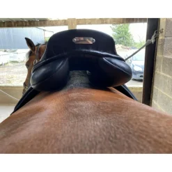Selle Zaldi Ledyard