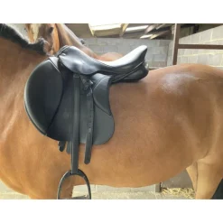 Selle Zaldi Ledyard