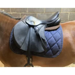 Selle Zaldi Ledyard