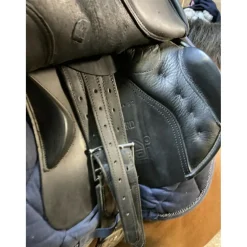 Selle Zaldi Ledyard