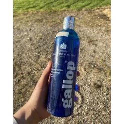 Shampoing pour chevaux