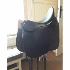 SLLE DRESSAGE