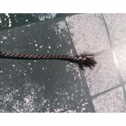 Stick Waldhausen noir