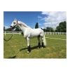 Support ligamentaire stable boots - Topaze Anterieur