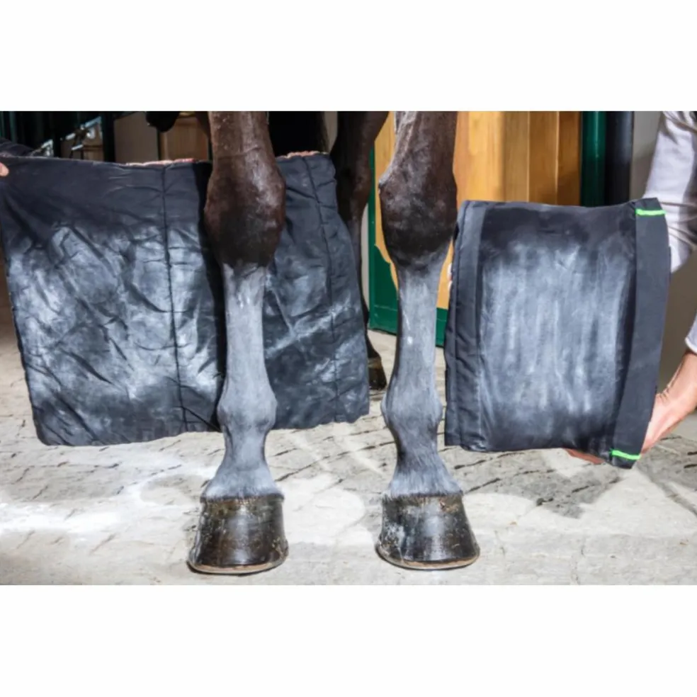 Support ligamentaire stable boots - Topaze Anterieur