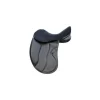 Sur-selle