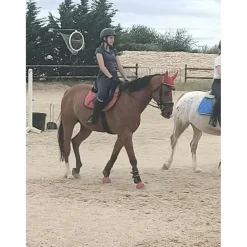 Sur-selle