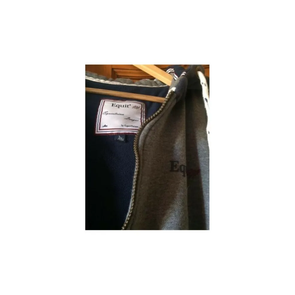 sweat a capuche Equitheme homme
