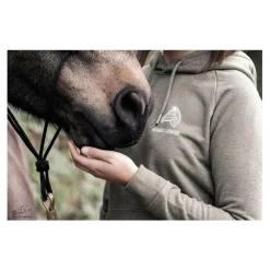 Sweat Horses and leaves
