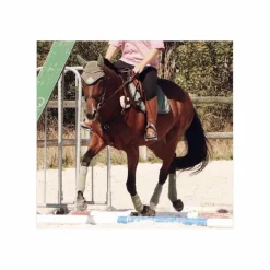 Tapis + Bonnet BR