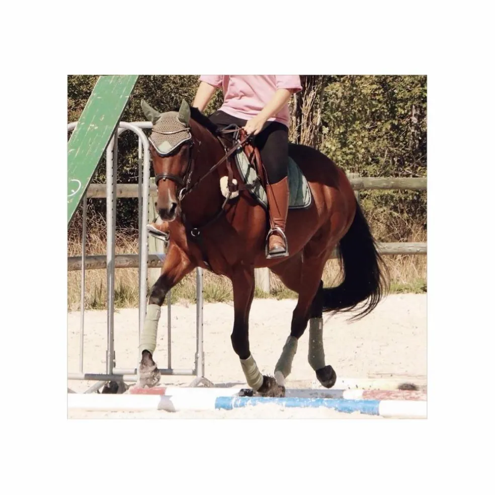 Tapis + Bonnet BR