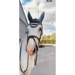 tapis + bonnet DESTRIER