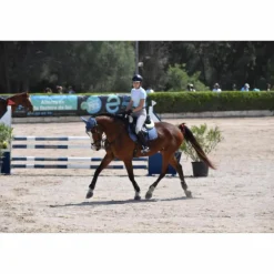 Tapis + bonnet equiline