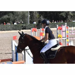 Tapis + bonnet equiline