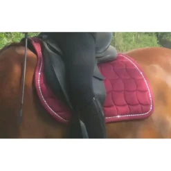 Tapis + Bonnet Lamicell Bordeaux PARFAIT ÉTAT