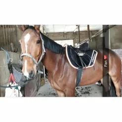 Tapis + bonnet long paddoc sport noir et orange