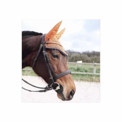 Tapis + Bonnet Orange BR