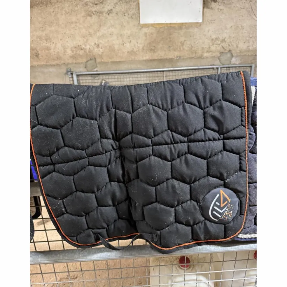 Tapis Akhal Capsular