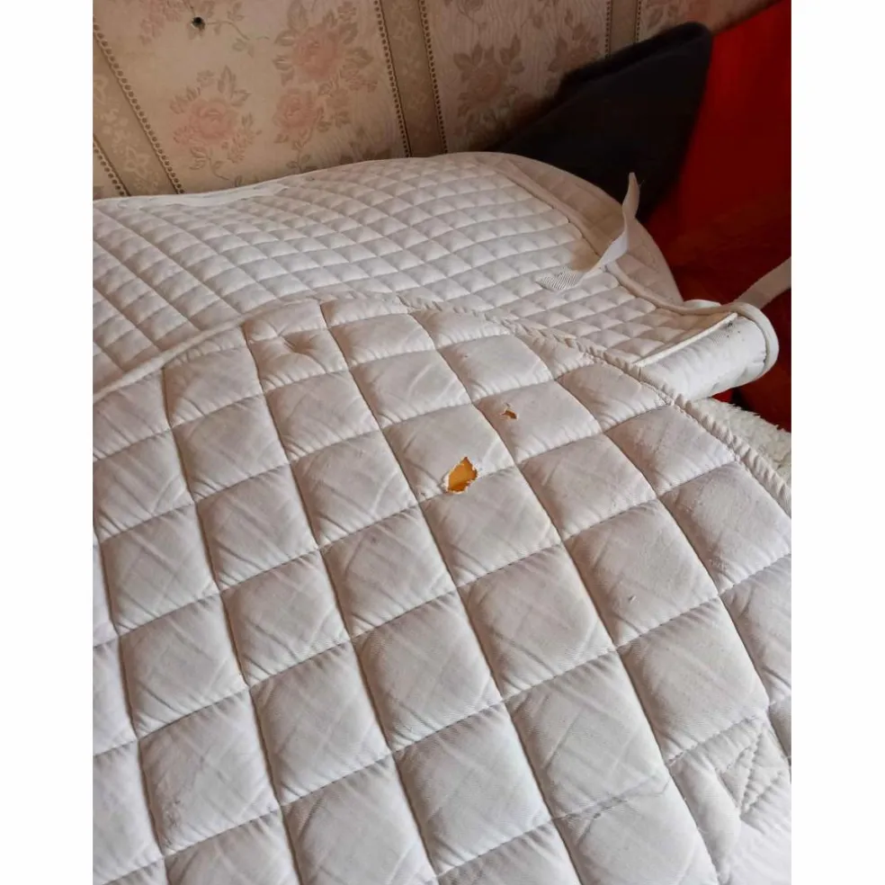 tapis blanc
