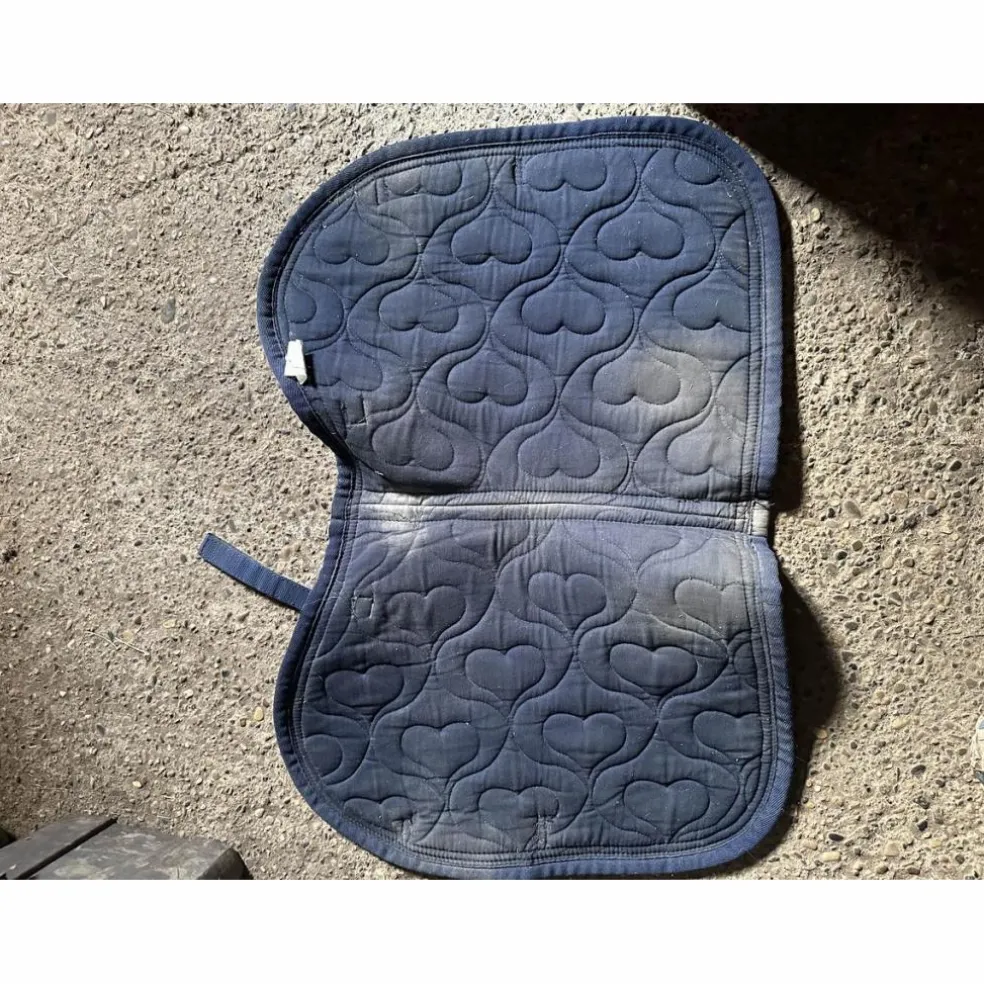 tapis bleu
