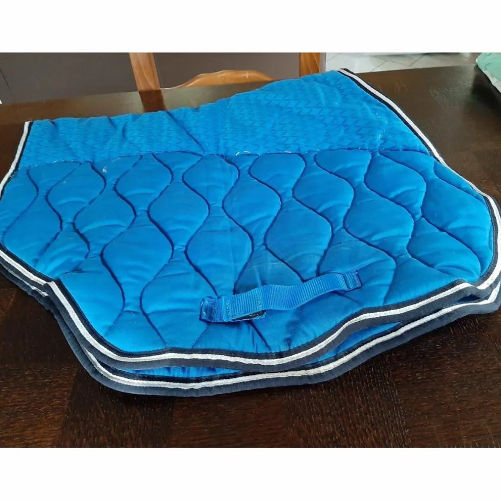 tapis bleu roi fouganza