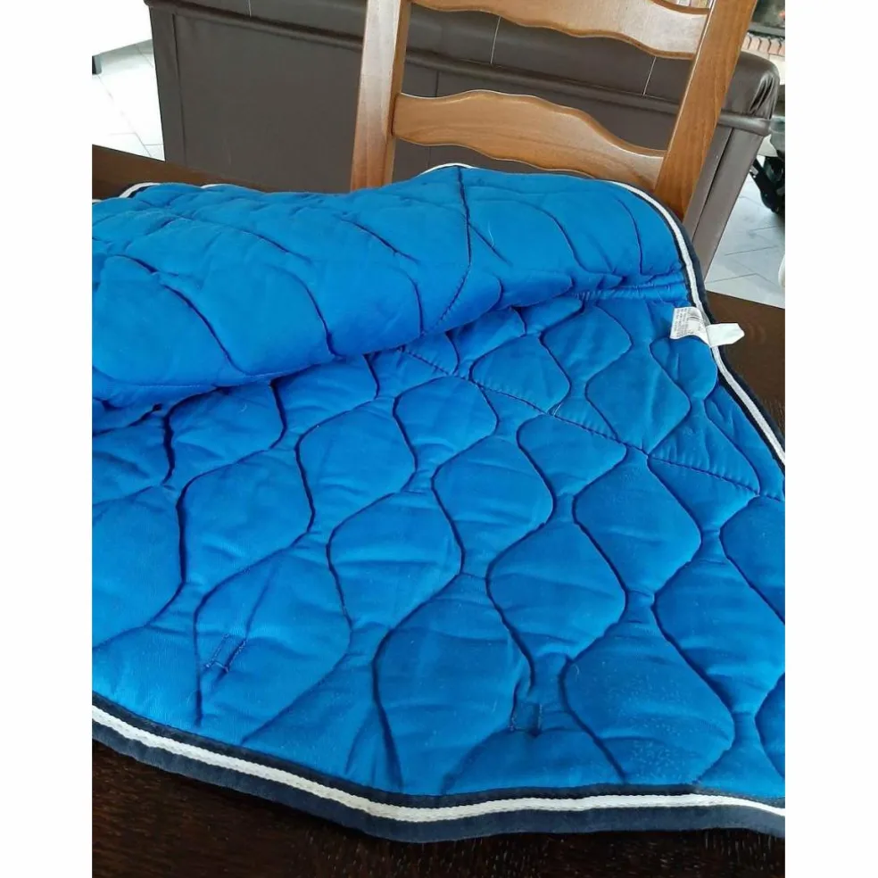 tapis bleu roi fouganza