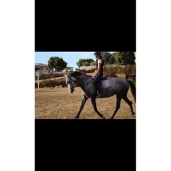 Tapis bonnet