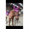 Tapis de selle LAMICELL rose avec bonnet et amortisseur FOUGANZA assorti