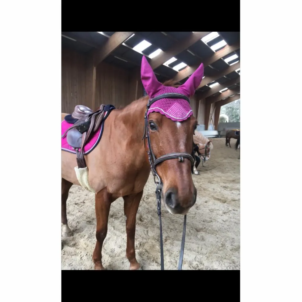 Tapis de selle LAMICELL rose avec bonnet et amortisseur FOUGANZA assorti