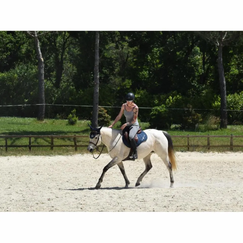 Tapis Delgrange