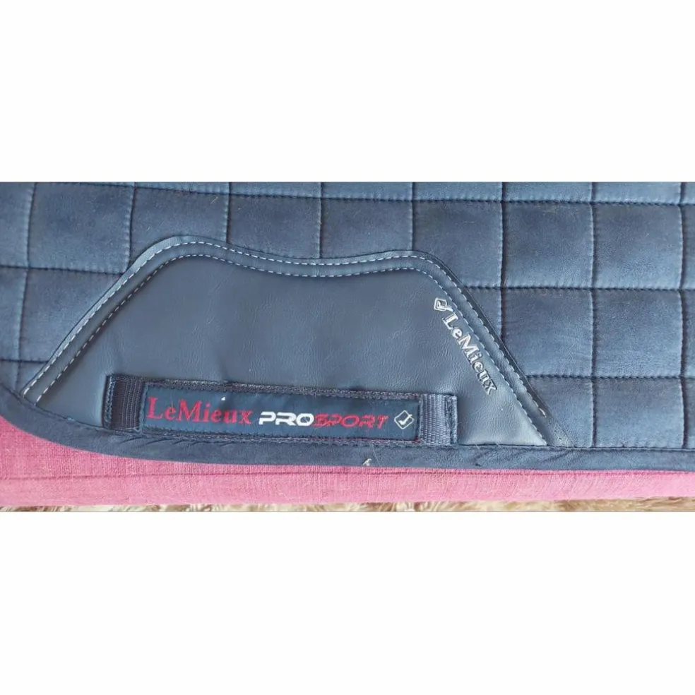 Tapis dressage